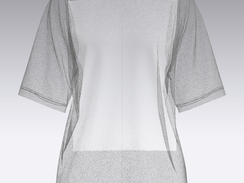 Ladies Tops - Maximize 3D Модель