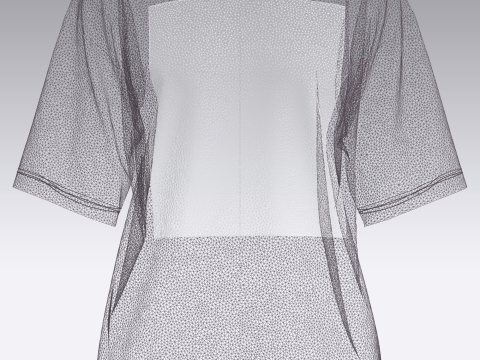 Ladies Tops - Dance Model 3D