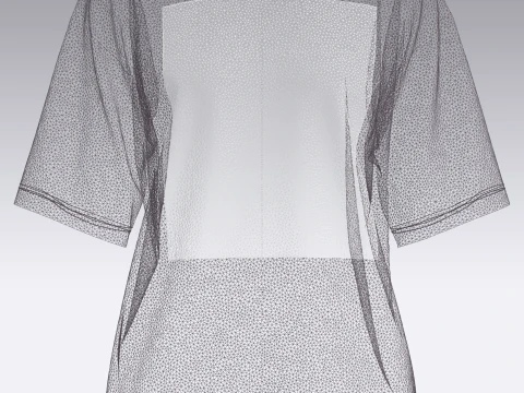 Ladies Tops - Dance 3D Model