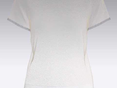 Ladies Tops with Less 3D Model