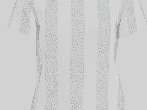 Ladies White Tops 3D Model