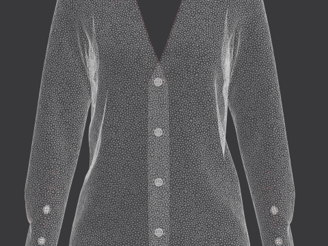 Ladies Red Striped Print Shirt Modelo 3D