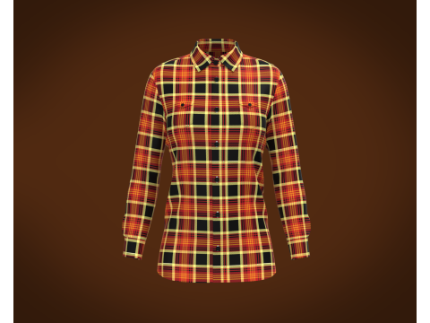Ladies Striped Print Shirt 3D Model