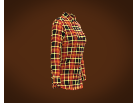 Ladies Striped Print Shirt Model 3D