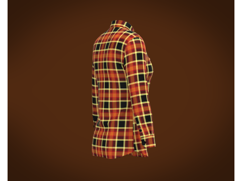 Ladies Striped Print Shirt Model 3D