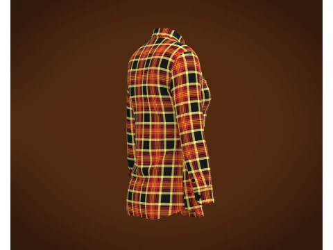 Ladies Striped Print Shirt 3D Model