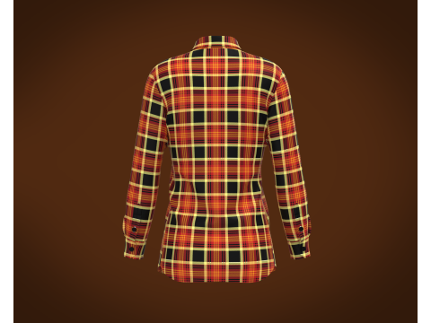 Ladies Striped Print Shirt Model 3D