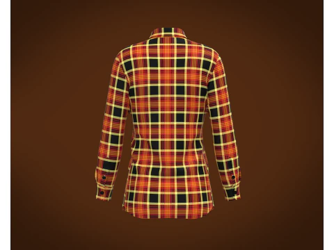 Ladies Striped Print Shirt 3D Model