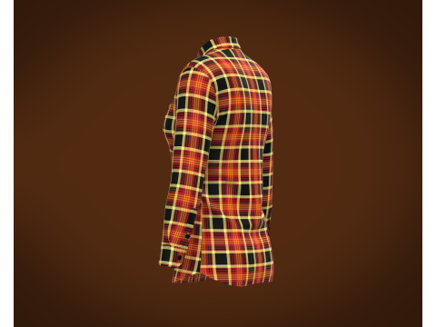 Ladies Striped Print Shirt Model 3D