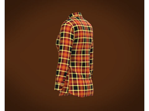 Ladies Striped Print Shirt 3D Model
