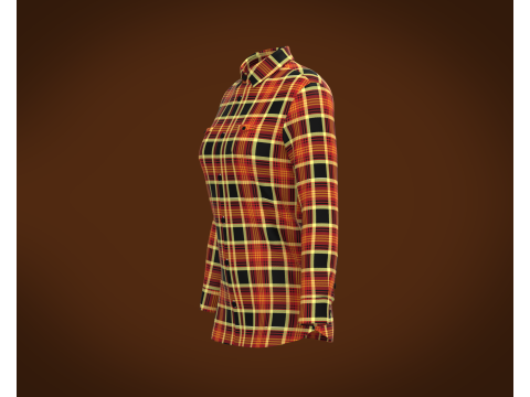 Ladies Striped Print Shirt Model 3D