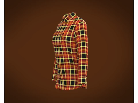 Ladies Striped Print Shirt 3D Model