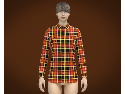 Ladies Striped Print Shirt Model 3D