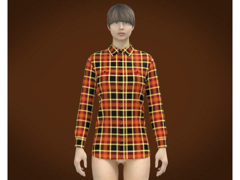 Ladies Striped Print Shirt 3D Model