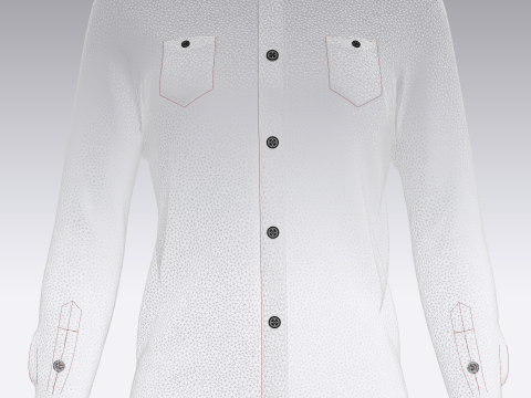 Ladies Striped Print Shirt Model 3D
