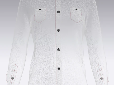 Ladies Striped Print Shirt 3D Model