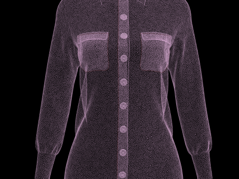 Ladies Long Torso - Shirt 3D Model
