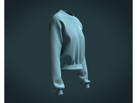 Ladies Sweatshirt V2 Model 3D