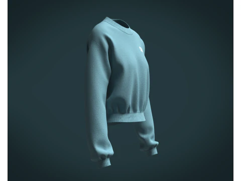 Ladies Sweatshirt V2 3D Model