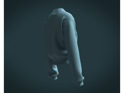 Ladies Sweatshirt V2 Model 3D
