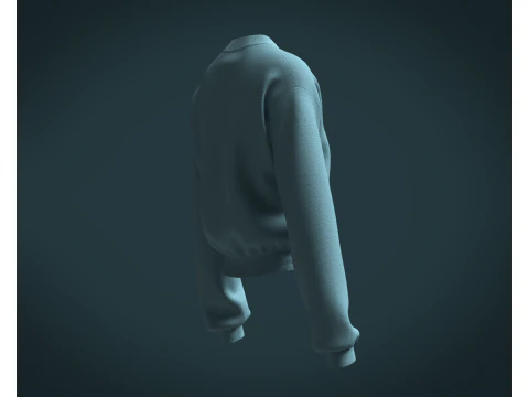 Ladies Sweatshirt V2 3D Model