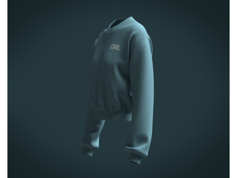 Ladies Sweatshirt V2 Model 3D