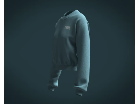Ladies Sweatshirt V2 3D Model