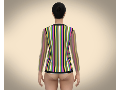 Long Sleeve V Neck Tops 3Dモデル
