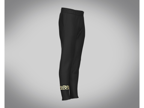 Men Black And Gold Pant 3D Model