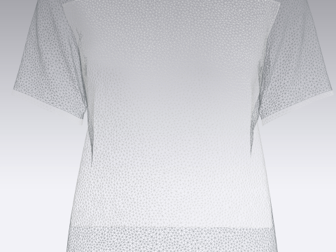 Ladies Igneous Rock T-Shirt 3D मॉडल
