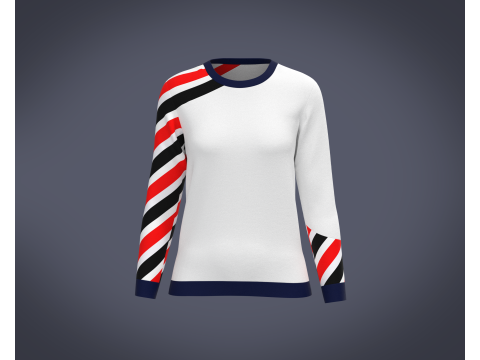 Ladies Full Sleeve T-Shirt 3D 모델