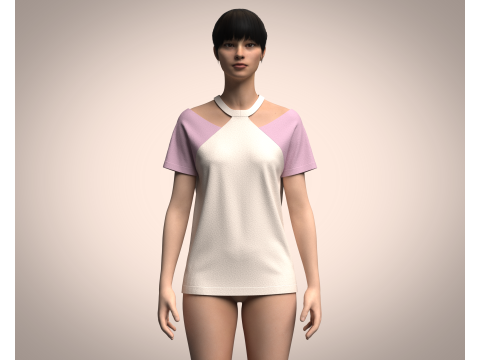 Ladies Pink Tops V2 Modelo 3D