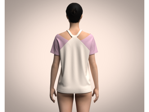Ladies Pink Tops V2 Modelo 3D