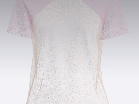 Ladies Pink Tops V2 Modelo 3D