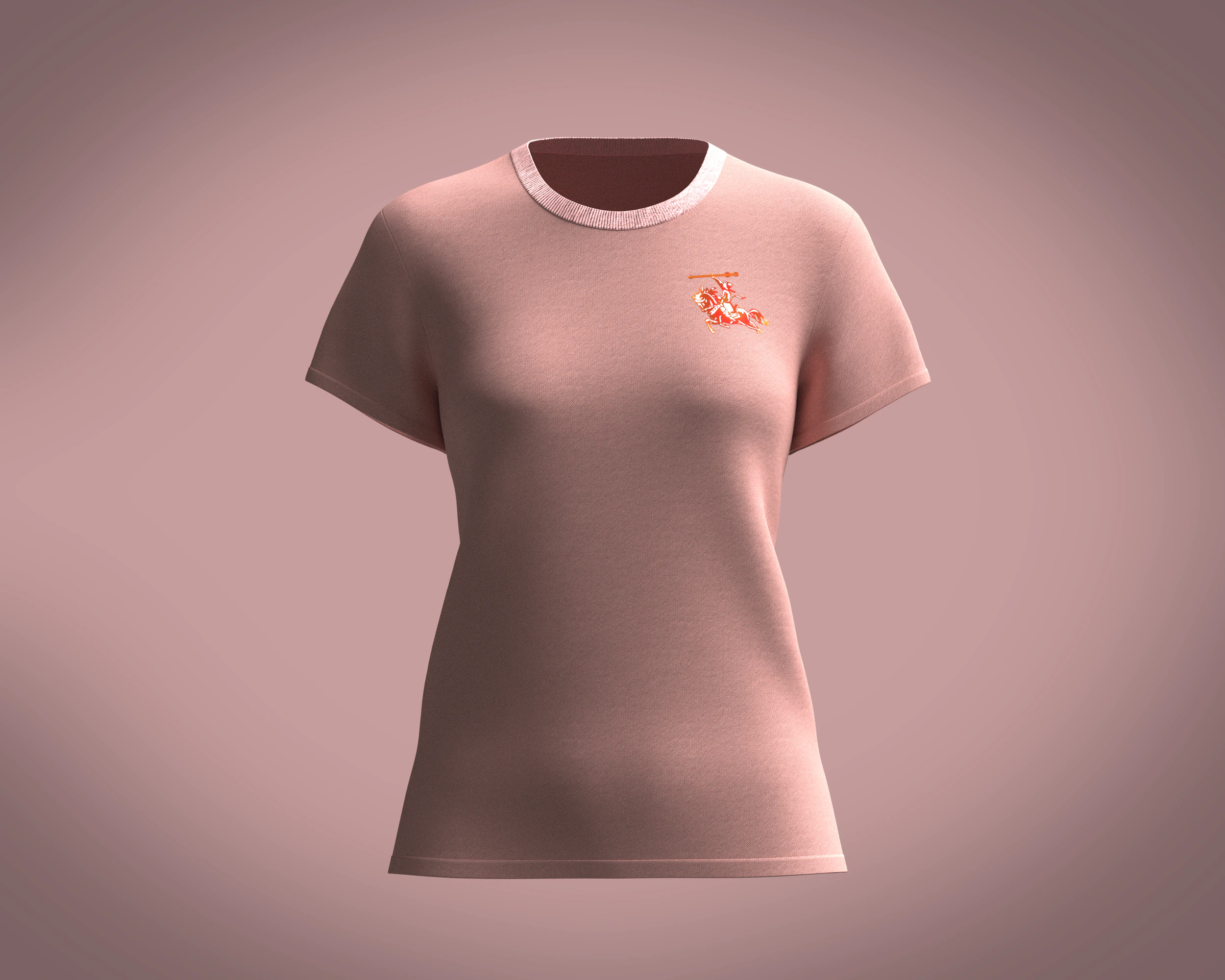 Ladies Pink Tops 3D Model .c4d .max .obj .3ds .fbx .stl .blend 