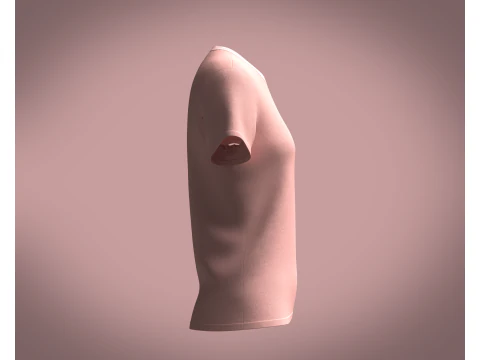 Ladies Pink Tops 3D Model