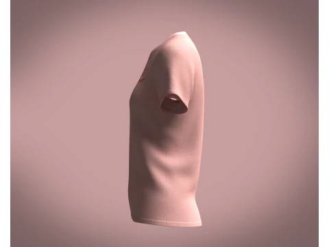 Ladies Pink Tops 3D Model