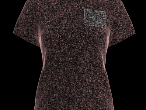 Ladies Pink Tops Modello 3D