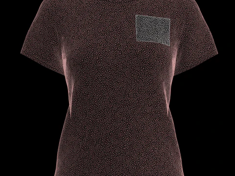 Ladies Pink Tops 3D Model