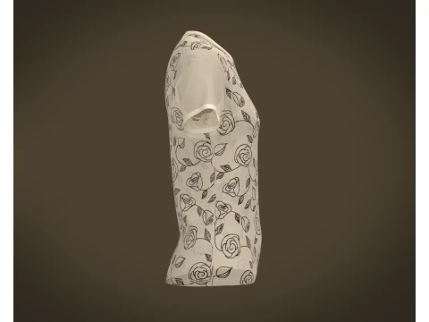 Ladies Printed Tops 3D Model