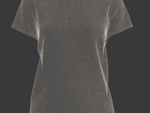 Ladies Printed Tops 3D Model