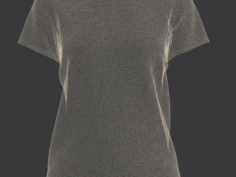 Ladies Printed Tops 3D Model