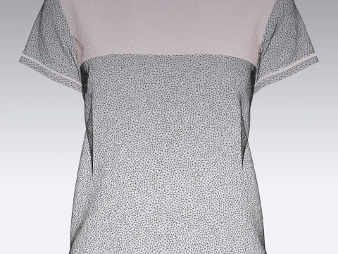 Ladies Print Tops 3D Model