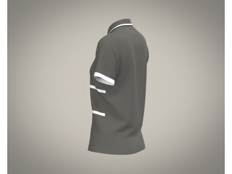 Ladies Polo Tops V2 3D Model