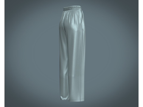 Ladies Silk Jogger 3D-Modell
