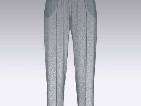 Ladies Silk Jogger 3D-Modell
