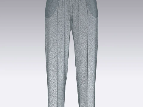 Ladies Silk Jogger 3D Model