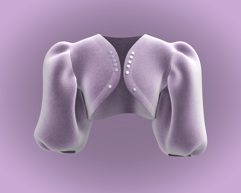 Ladies Pouf Sleeve - Velvet 3D-Modell .c4d .max .obj .3ds .fbx .stl .blend 