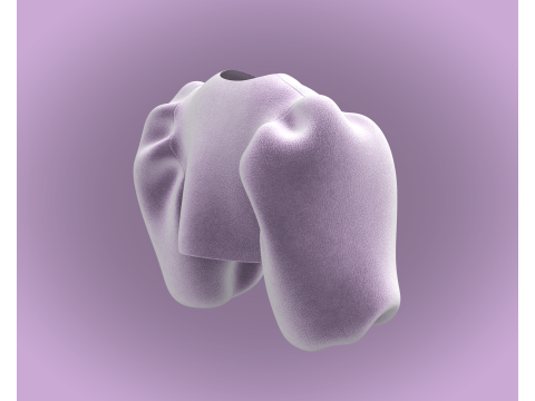 Ladies Pouf Sleeve - Velvet 3D-Modell