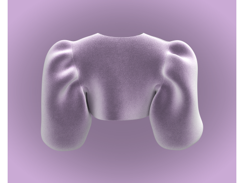 Ladies Pouf Sleeve - Velvet 3D-Modell